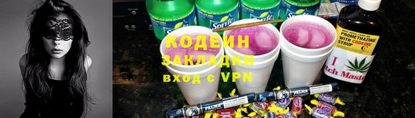 прущие грибы Вязники