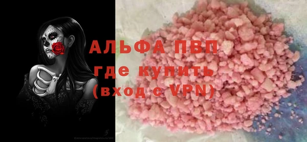 спиды Вяземский