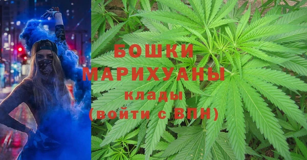 прущие грибы Вязники