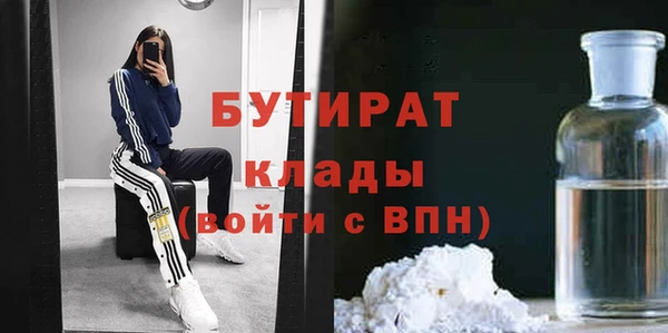 прущие грибы Вязники