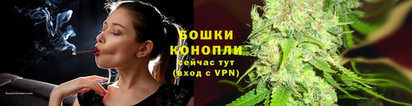 спиды Вяземский