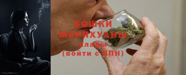 прущие грибы Вязники