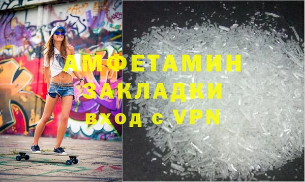 прущие грибы Вязники