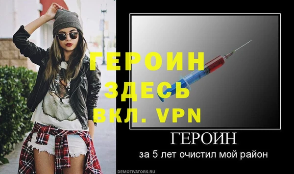 прущие грибы Вязники
