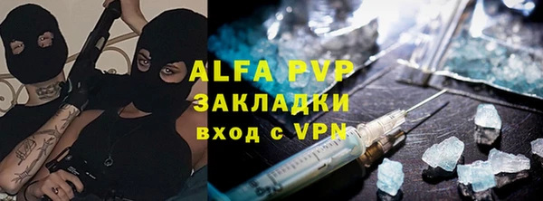 спиды Вяземский