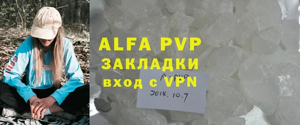 прущие грибы Вязники