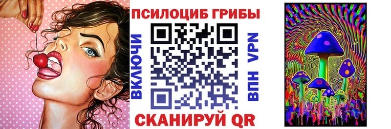 Галлюциногенные грибы Magic Shrooms  Купить  Межгорье 